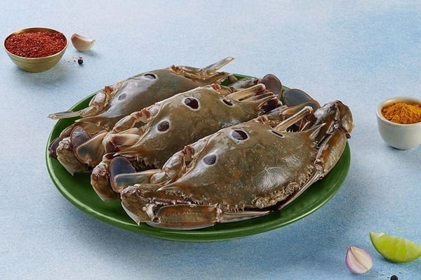 Crab