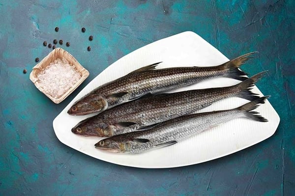 Mullet (Madavai)